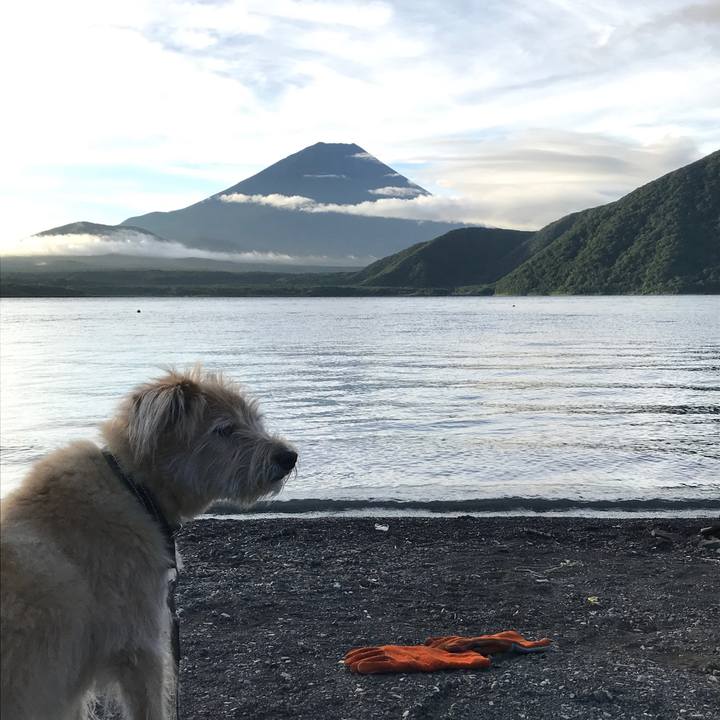 4fb01a45 e6e3 4b63 ae4c 5aa04d400568 1534280421613