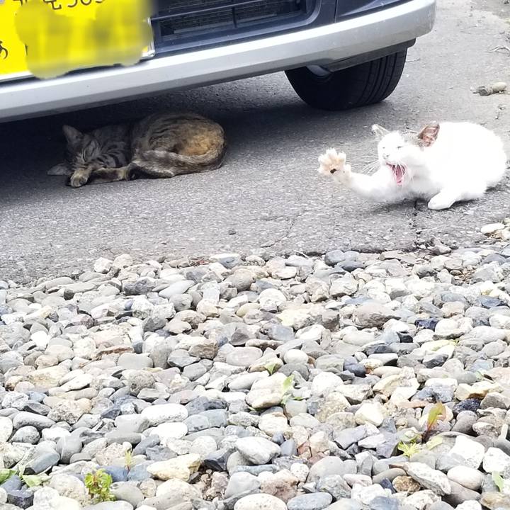 4fb03d82 8030 46eb a367 3d4dba04d008 1691492438291