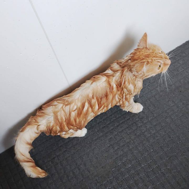 4fb0856e f412 47d1 9da5 a875af6d4aa9 1748397048560