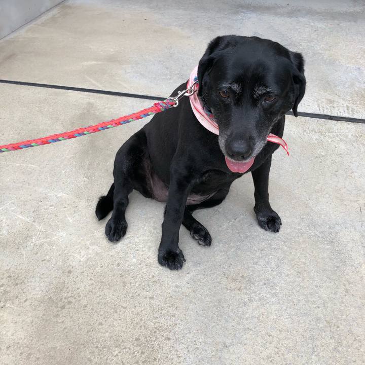 4fb0b173 38c0 49d0 8694 0cebb9c7a38a 1590914138850