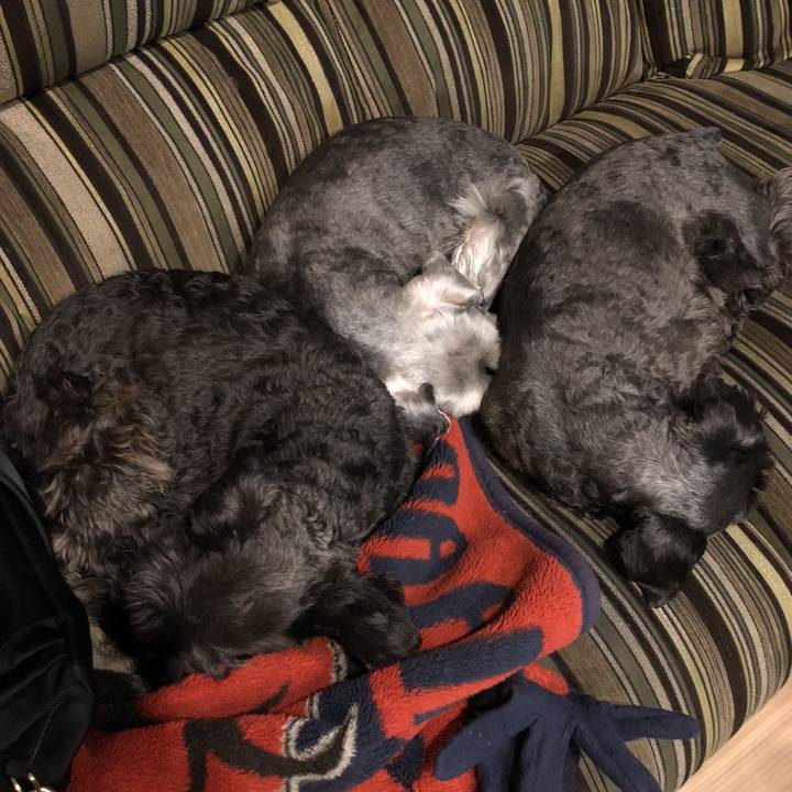 4fb0faca 3459 44b4 8c33 604de0b894a2 1521032107809