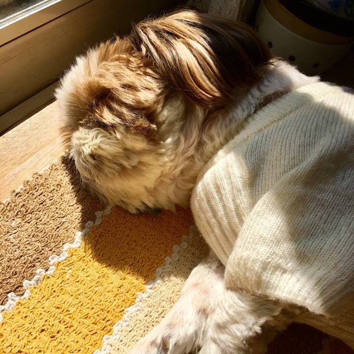 4fb0facf 587e 403a a954 20127a2f6a04 1520131777722