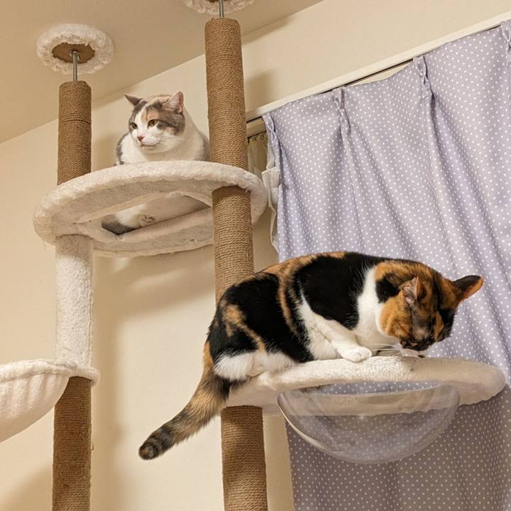 4fb1127d 9fdb 489a a0f0 51972e3d65f5 1706672690723