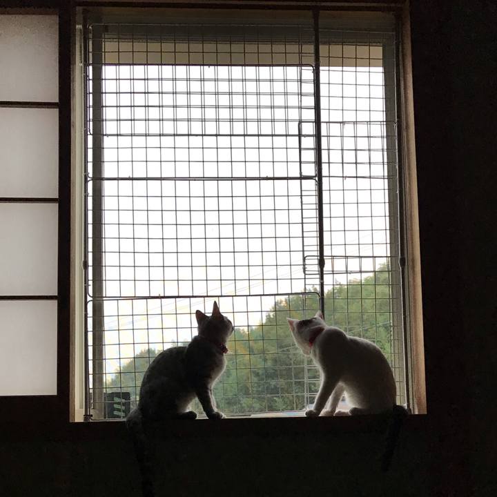 4fb13789 5997 4c86 8fed 530505c89111 1566273784980