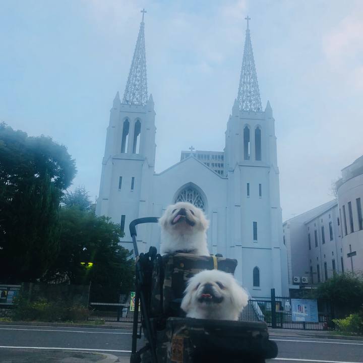 4fb15ba1 941d 4f54 8c84 6ee0a4b464cf 1599515512330