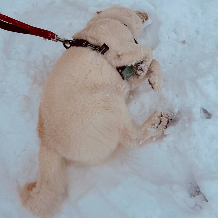 4fb16543 809a 4337 a862 e1374edfb207 1742164241518