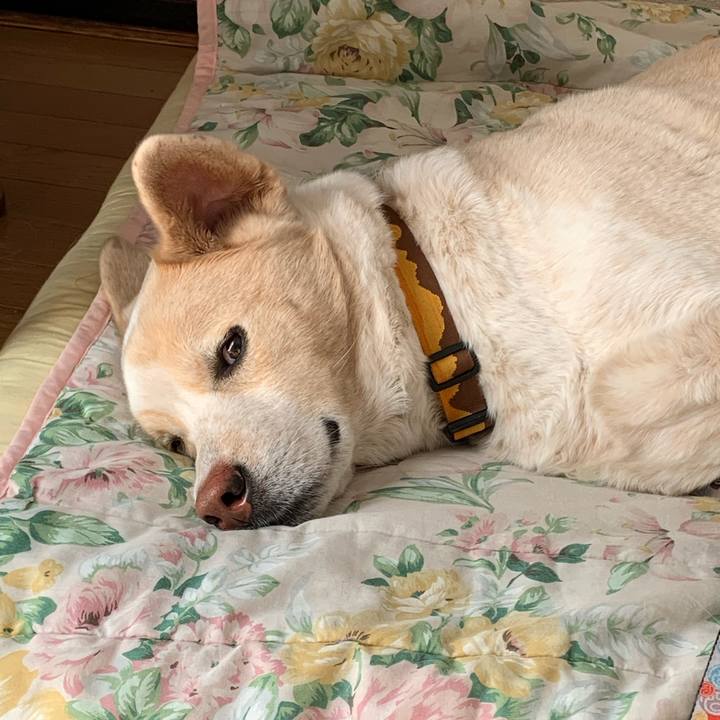 4fb1ac32 6d4c 40b2 9eed 3f6cb9321a5f 1579443127311