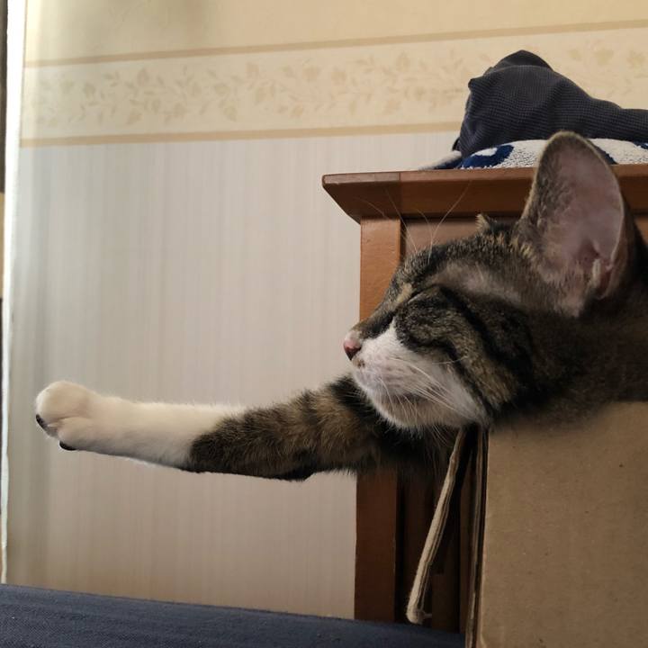 4fb1df45 d660 4d7c a153 05b5b1ca7e61 1534796132573