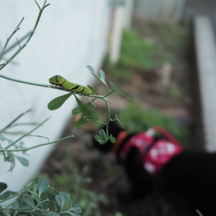 4fb2208d 008b 416e 861c ddbd6a56dc35 1540243413708