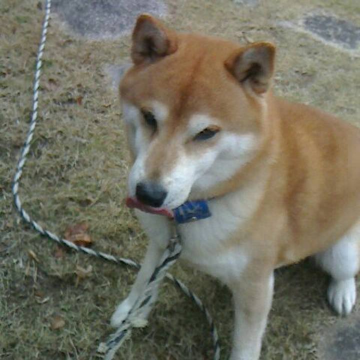 4fb228f0 5f69 47ab aaae e91ecbcd8c2c 1578298762692