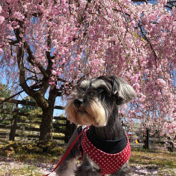 4fb29fd3 cf21 4ed1 9ba6 56653aaac568 1555769647059