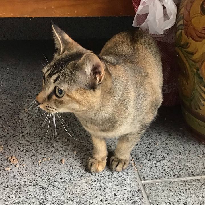 4fb2a897 11be 469a 8cb6 4c53f66b0427 1578453653882