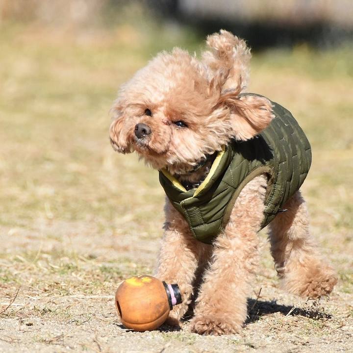 4fb2ad91 2aeb 4713 869e b8fb8f340bc2 1613095222725