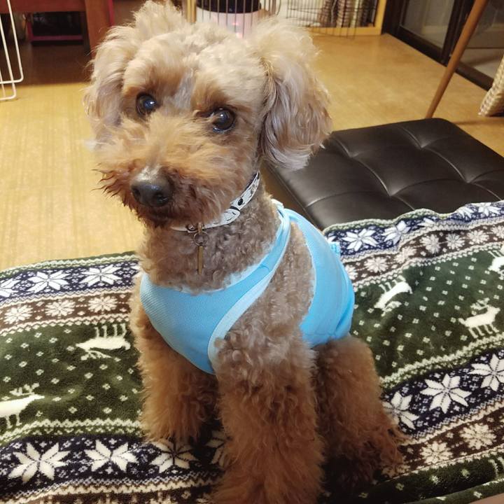 4fb2b16e 0405 4e9d b2cf 109144131132 1519736962479