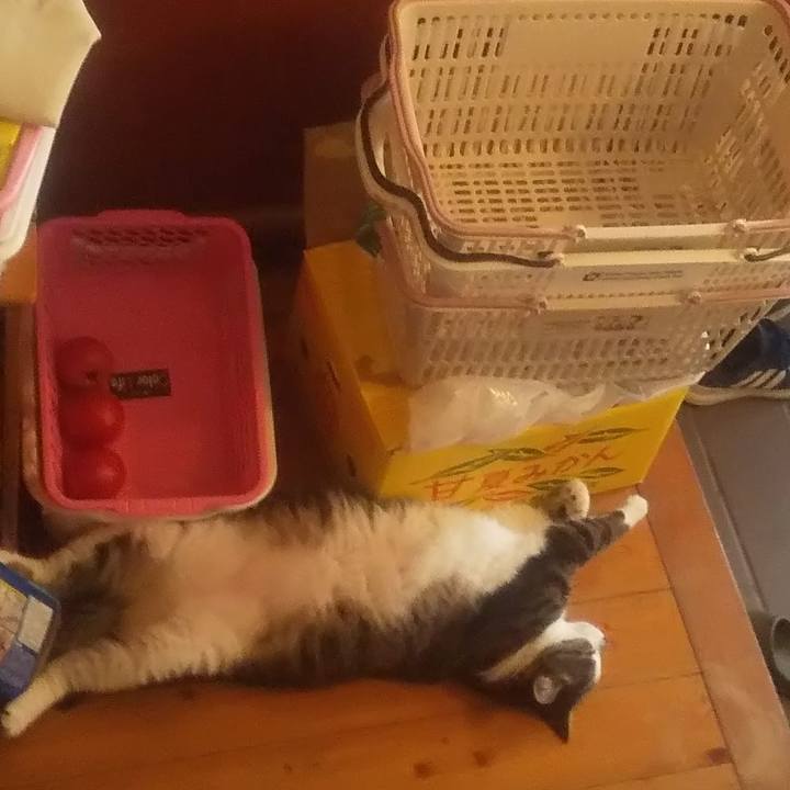 4fb2b1ef 66eb 4a95 b247 5e118cc44b16 1740669831882