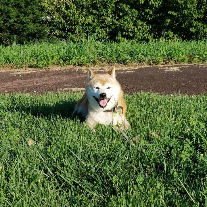 4fb2d7b1 9e81 4cd7 b683 409d86f5da3f 1660896254943