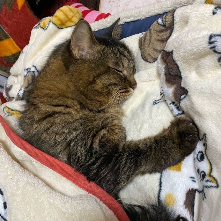 4fb2ec35 df98 47b9 89d8 8923969623be 1771324615169