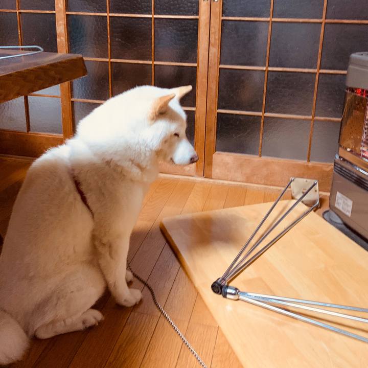 4fb2ee1a 16e5 4279 8a1e 67115b1fc56f 1580168488486