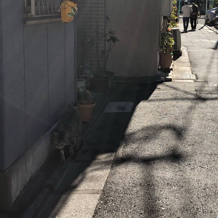 4fb2efba d6ce 4935 b5b1 47fa7c2269fc 1610465705341