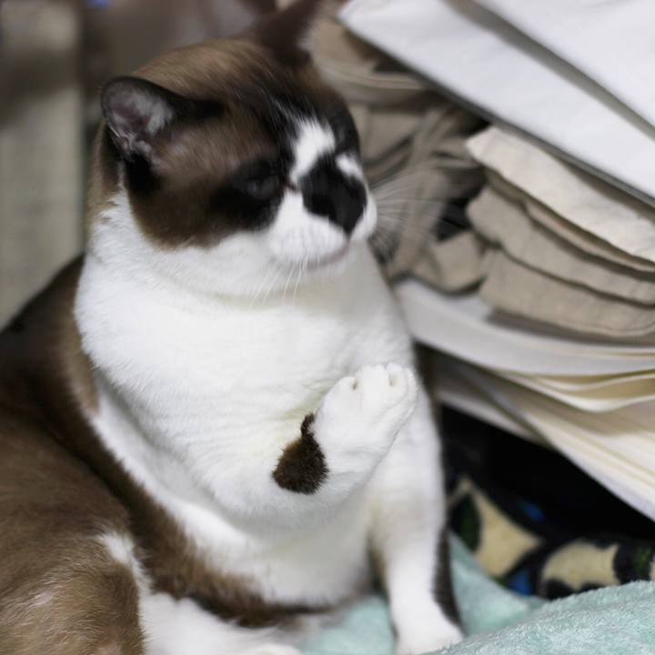 4fb2f8be 43ff 4e35 86ef dee6a8dc0353 1514597699427