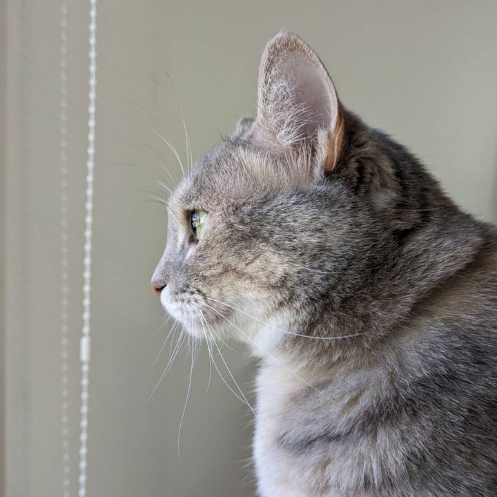 4fb31827 2902 44d6 9f61 aa15a1a20a5d 1690864480274