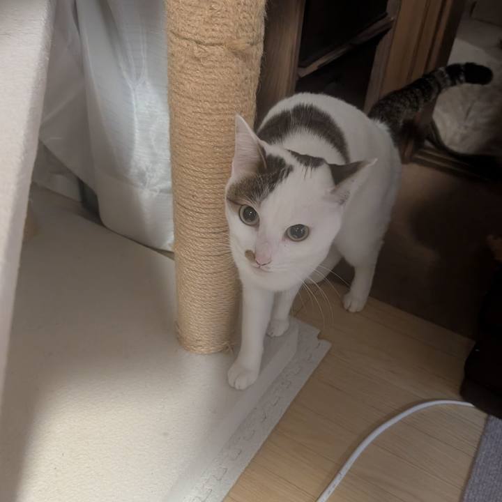 4fb31975 c367 433c aa13 a99b07ce5c0c 1770714856730