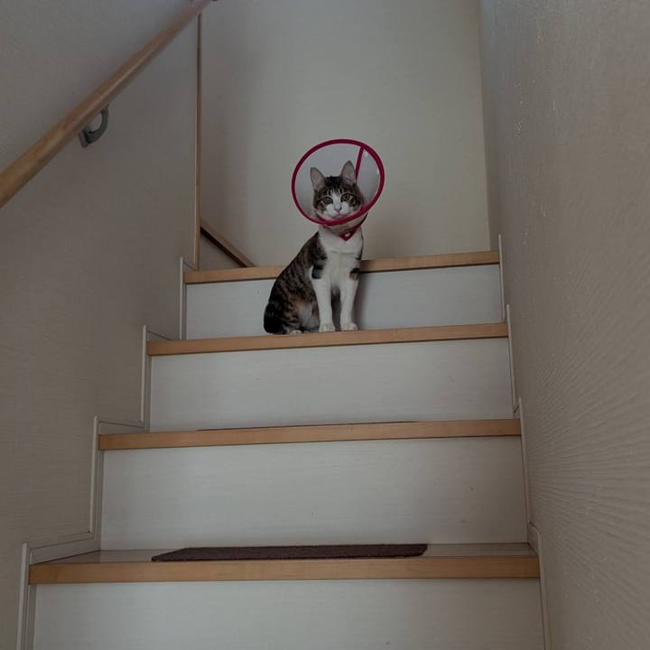 4fb31b9d cd21 43f1 8afc a1f19d90e701 1744699705036