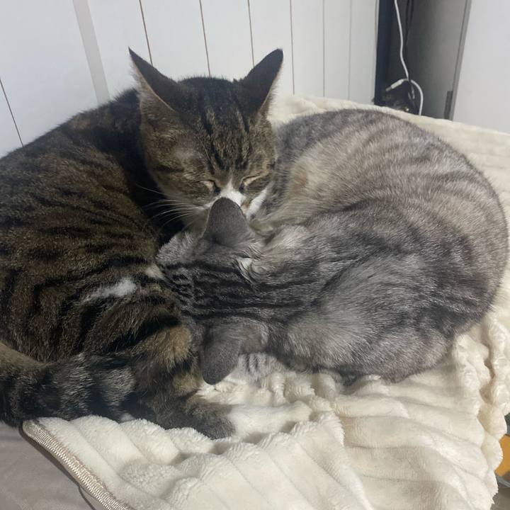 4fb32ca2 2f44 4838 af17 d13c946937e9 1717427756296