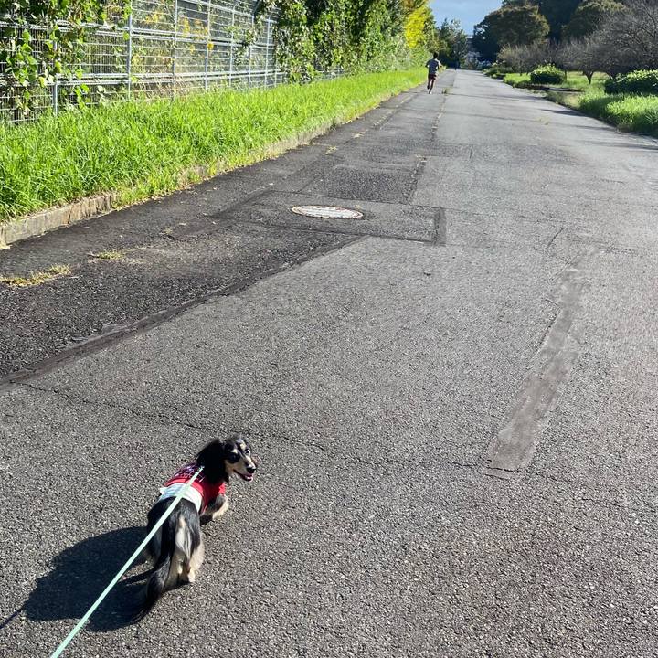 4fb371e4 b869 4acf 96dd 26f4a14fc0c5 1729473674143