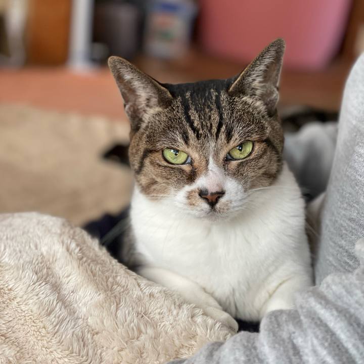 4fb37626 63de 43a4 b37e c552884bf82e 1647827754124