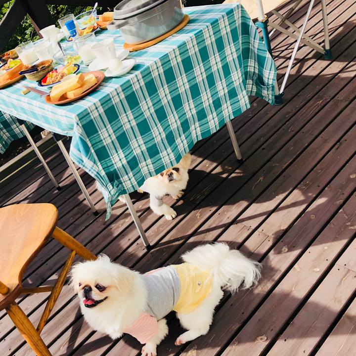 4fb376b2 d166 47cc b9b4 29288d73dd8b 1569036556993