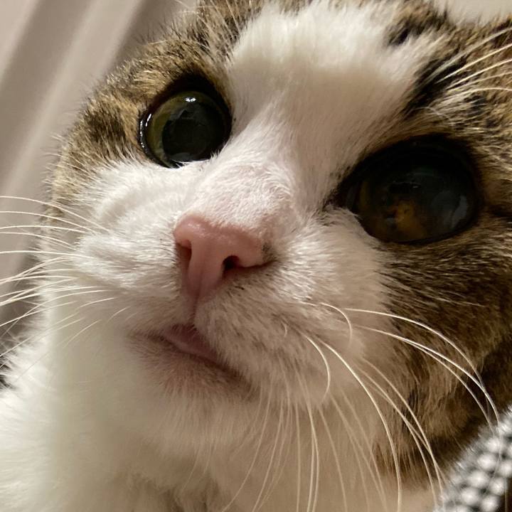 4fb3a08a 9431 476c a183 47e2b0067534 1572045618793