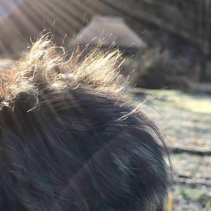 4fb3dacb 150e 4bb1 a3fb 8780f89e52ec 1523874590825