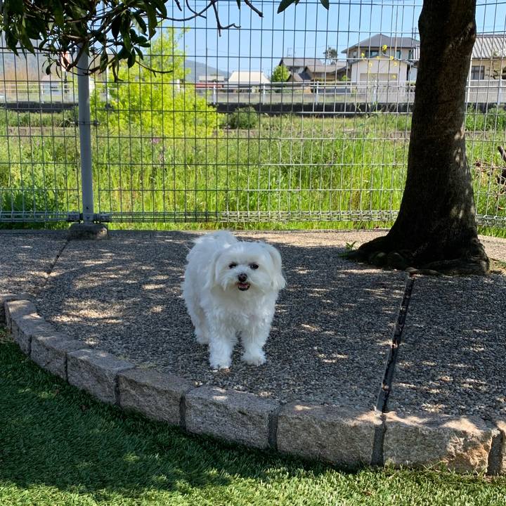 4fb40a7f 063e 473e a14b acab033a44eb 1587794253811