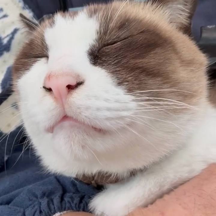 4fb40b8a 004a 4610 8965 7e65a6b87d26 1764055025255