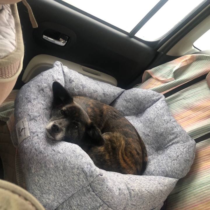 4fb42dd0 4437 4e11 871b 2866307e2ad3 1550982536927