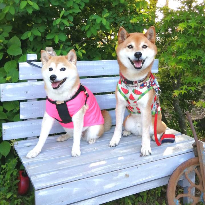 4fb44244 2a2c 4d5f b9d5 1e6650e8869c 1683213847965