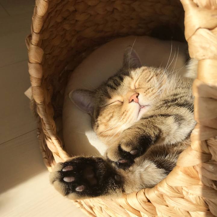 4fb4551a 326f 43bc 9529 81fb5a4eab55 1548650834337