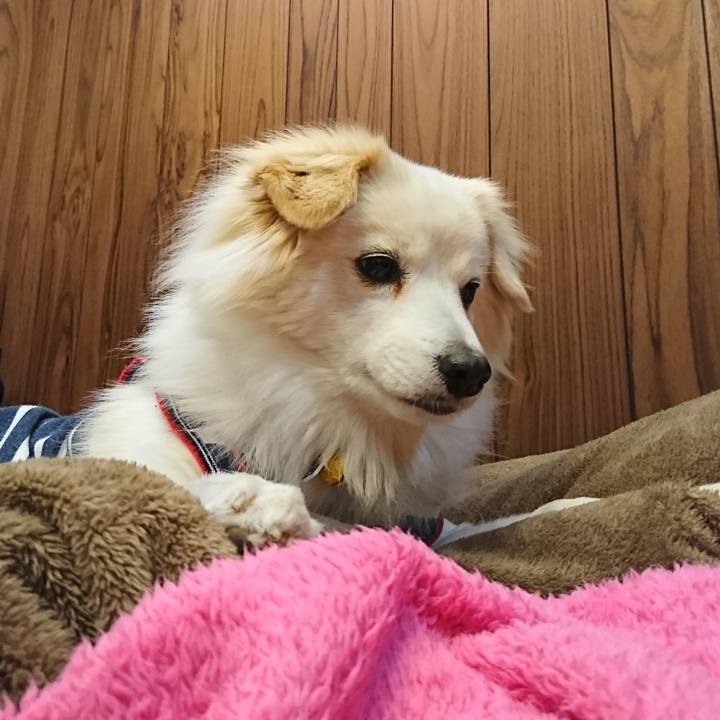 4fb4602f 4837 40f6 989d 5e20b7538eff 1550501317230