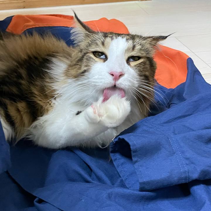 4fb47606 dc2b 4433 8c6d 01955821e2d6 1652697828129