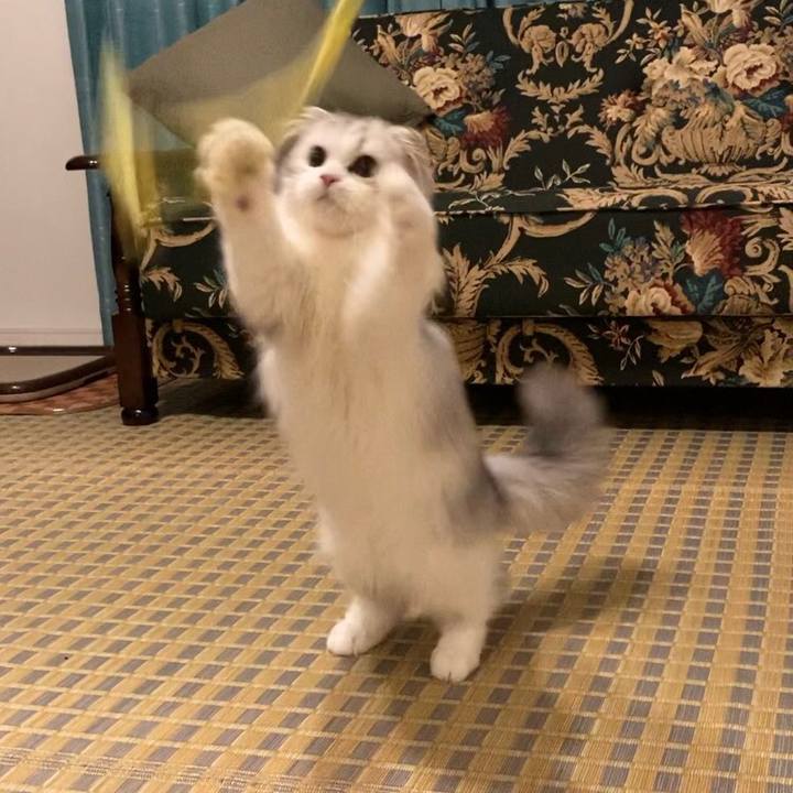 4fb4bf25 0189 45a3 abfd 35503fb41120 1600064706308