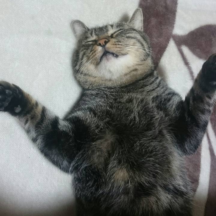 4fb5204a 4e72 4074 9eed 44161c7273be 1510914694393