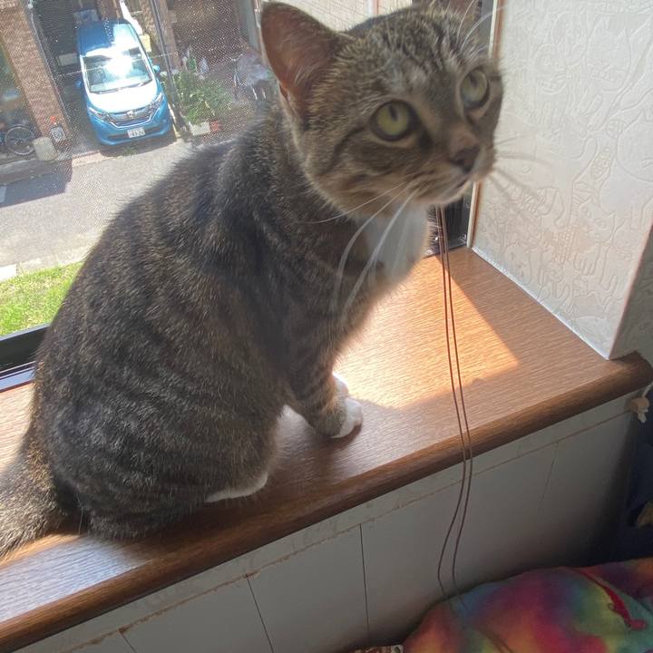 4fb55259 c0d1 4123 a79b da2974943748 1596288329456