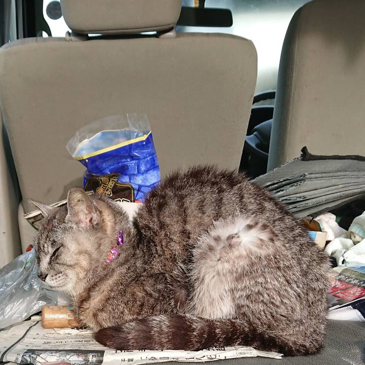 4fb55336 b329 446f a462 6dedfca20fd0 1595019613530