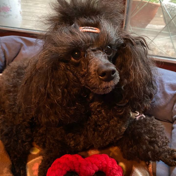 4fb5b738 f67b 47fc 873c 219ae7f1a640 1663987057021