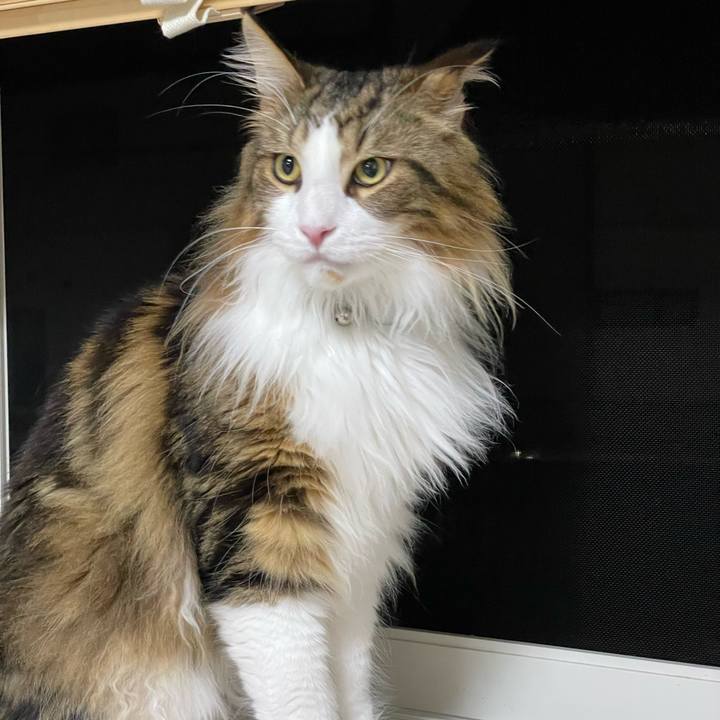 4fb5f2c7 a8f6 4f79 a6e1 04466ef1aed3 1658582877804