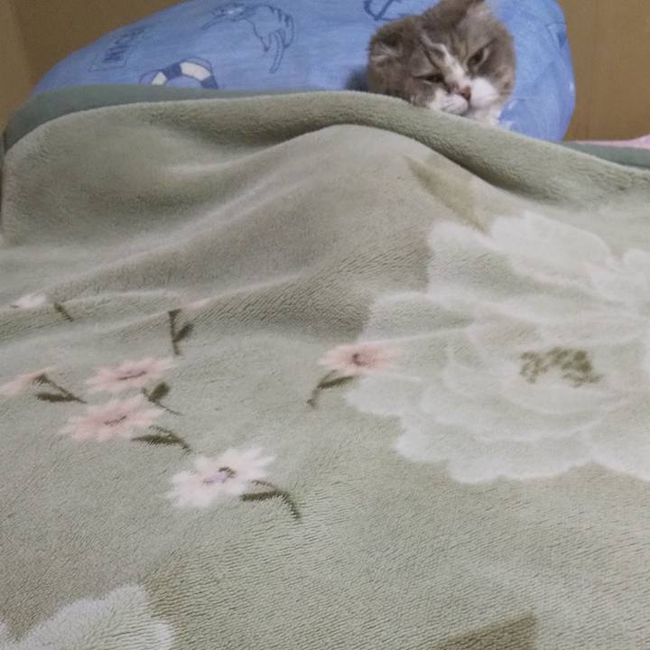 4fb5fbcc dfbd 4ccc a528 6251d9819c59 1650548052122