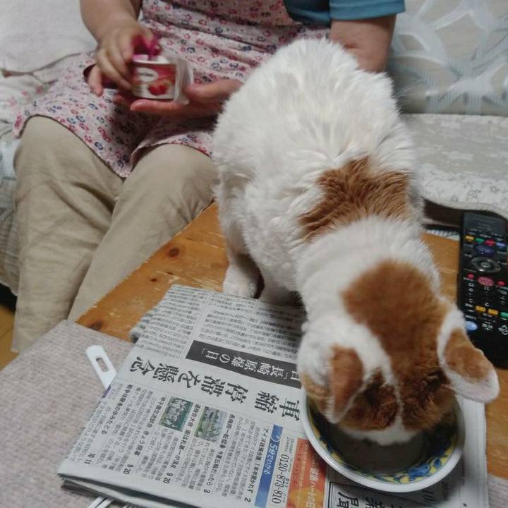 4fb608ae 8fae 48f8 8a3c 83082b107199 1597065037445