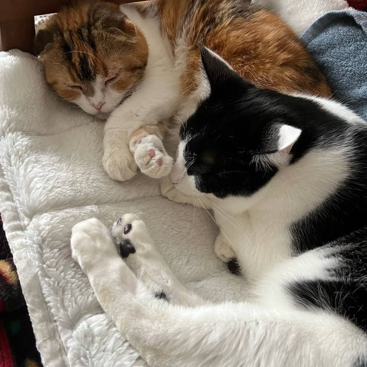 4fb6147b 9503 46b8 aedb f930738a329d 1674346012446