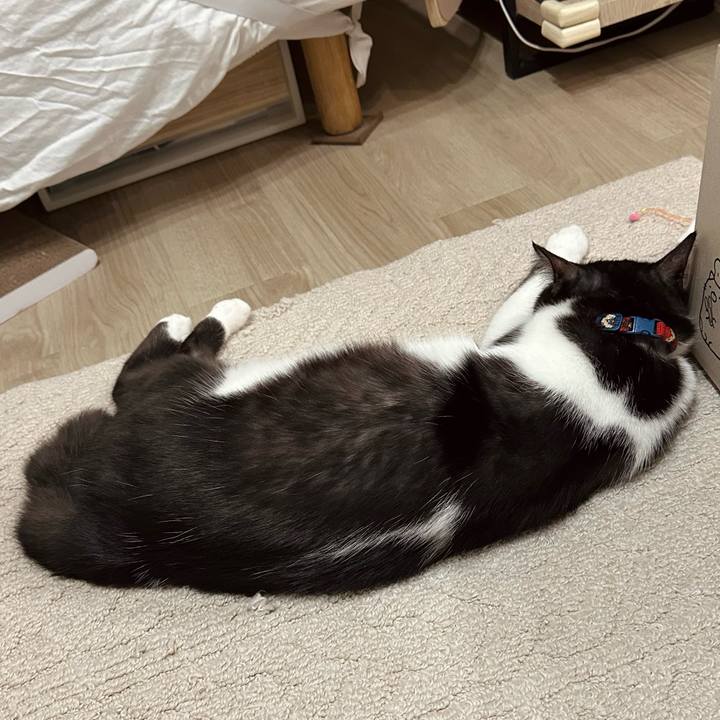 4fb61780 bbf1 46e8 a71a 65cfab85dde6 1764588012527